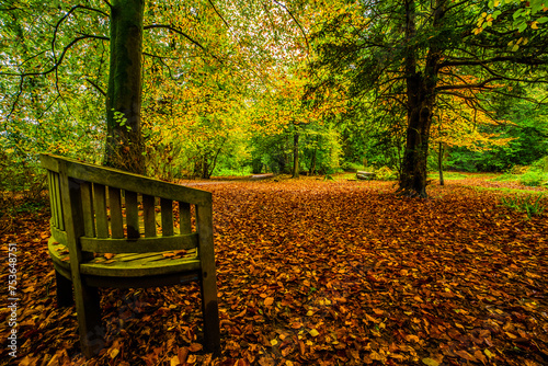 Autumn colours from Conishead Priory, Ulverston, Furness Peninsula, Cumbrian Coast, Cumbria, England