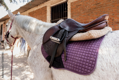 Close-up of horse with saddle at a ranch photo