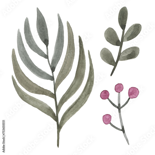 A set of simple botanical watercolor green plant leaves.
