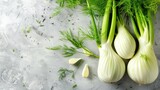 Fresh fennel bulbs with green leaves on gray