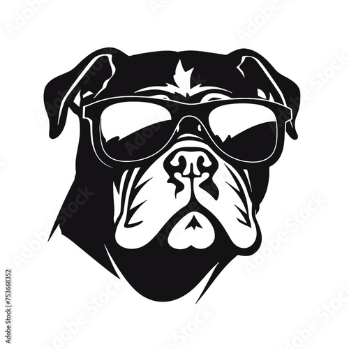 Fototapeta Naklejka Na Ścianę i Meble -  dog wearing sunglasses