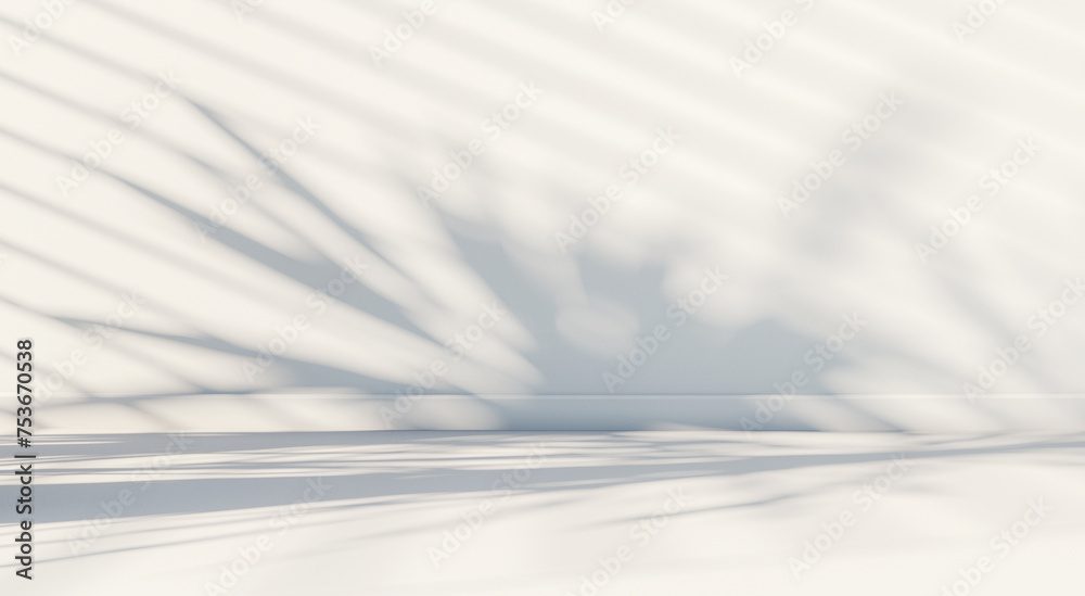 a soft white background for product presentation with the shadow of a plant and blinds cast on the wall