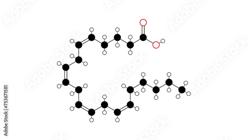arachidonic acid molecule, structural chemical formula, ball-and-stick model, isolated image polyunsaturated omega-6 fatty acid