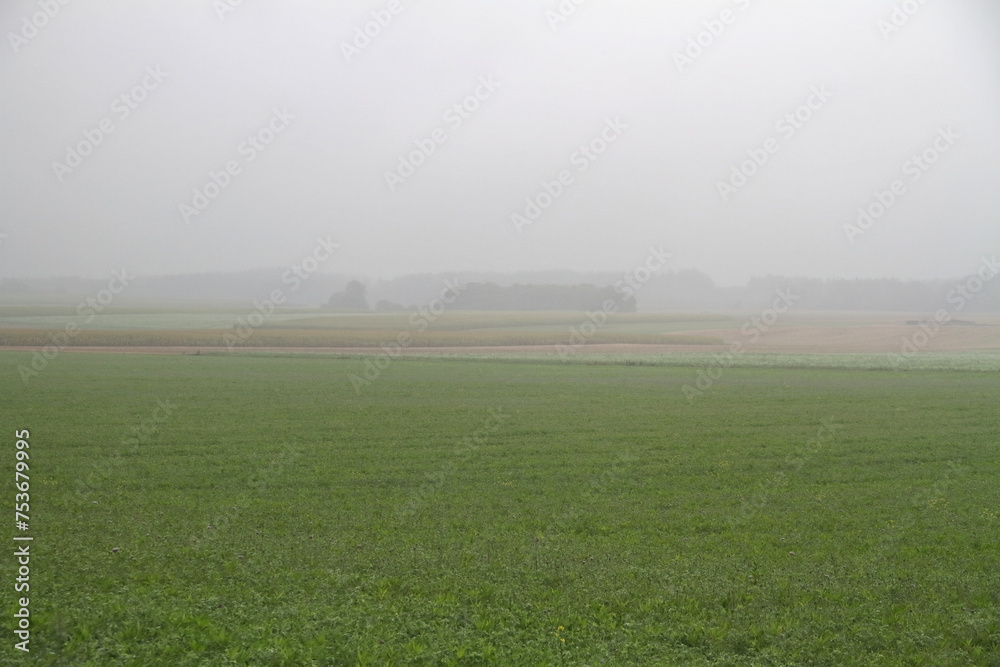 Fototapeta premium Morning mist in an open field with meadows and sunlight