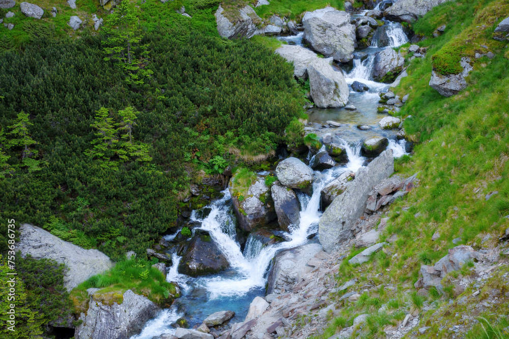 mountain waterstream among the rocks on the hillside. view from above. beauty of carpathian nature mountain waterstream among the rocks on the hillside. view from above. beauty of carpathian nature