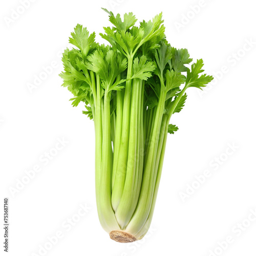 Celery isolated on a transparent background