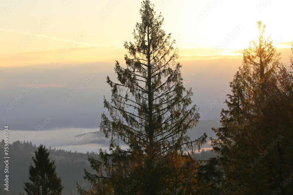 wonderful autumn sunrise image in mountains, autumn morning dawn, nature colorful background, Carpathians mountains, Ukraine, Europe