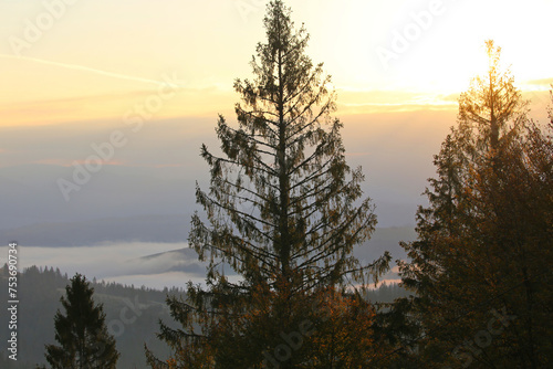 wonderful autumn sunrise image in mountains, autumn morning dawn, nature colorful background, Carpathians mountains, Ukraine, Europe
