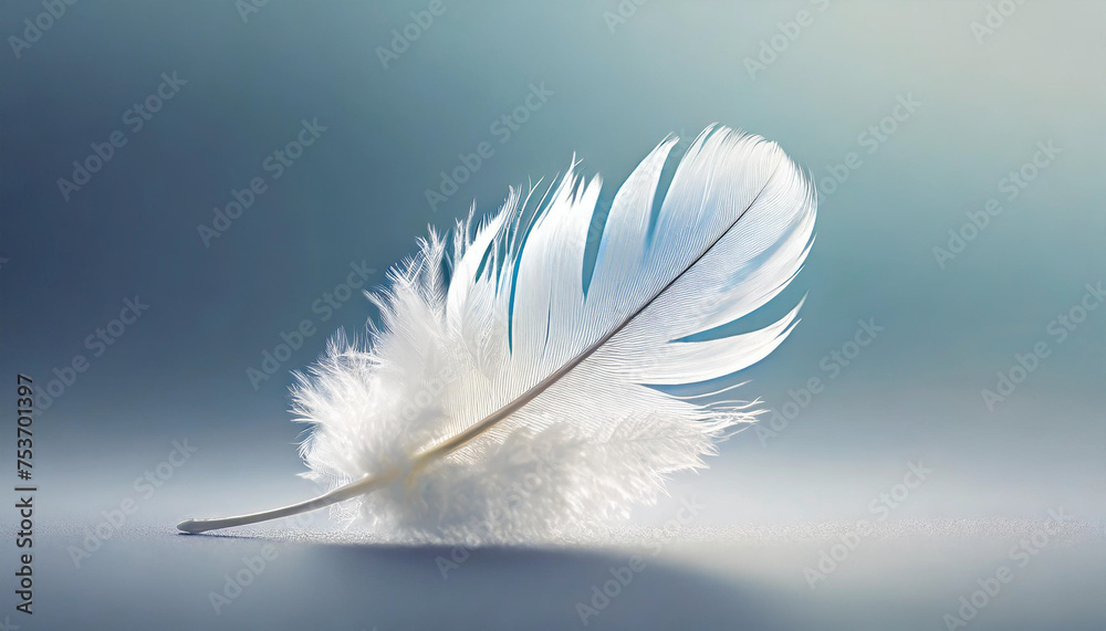 Naklejka premium White little feather on blue background.
