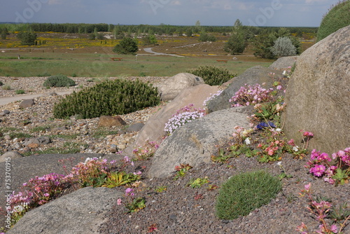 Steingarten im Lausitzer Findlingspark Nochten photo