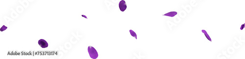 falling violet rose petals