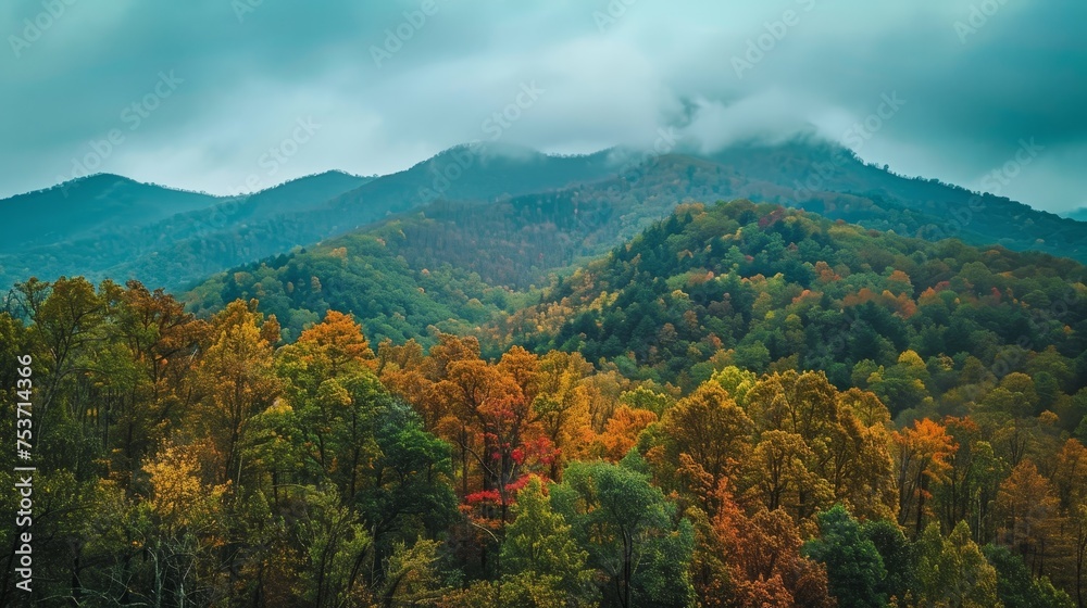 Green mountain in autumn 