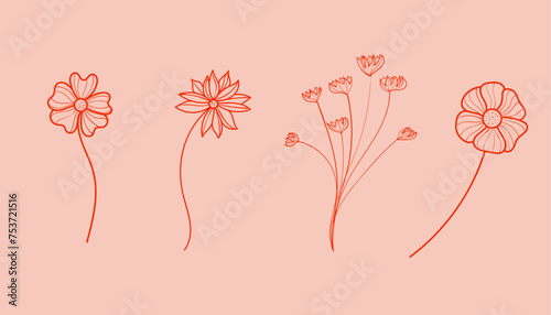 Boho Floral botanical illustration set background.Simple elegant beautiful spring,summer flowers.Line art style for card,invitation,arrangements,pattern,decorations,bouquets,nature inspired greeting 