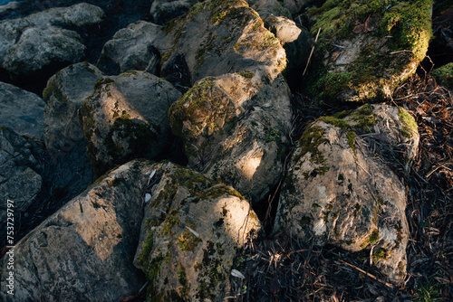 beautiful stones near a mountain river in the French Alps