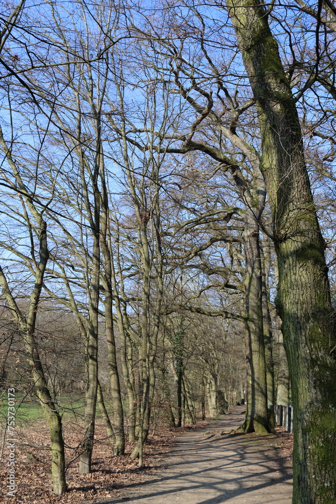 Fototapeta premium Path on Schwanheim meadow in early spring