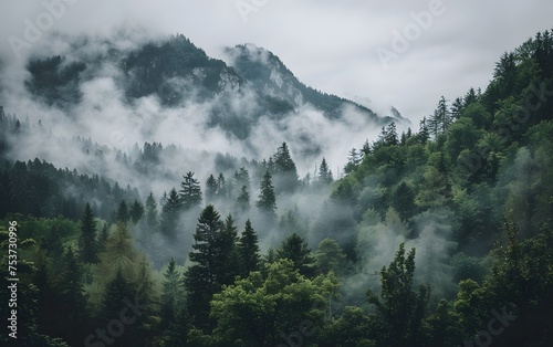 Misty Mountain Serenity: A Minimalist Forest Landscape Captured in Unsplash Style, AR 8:5