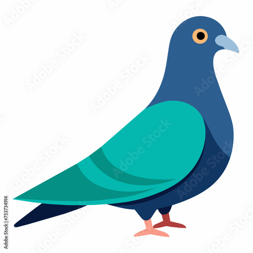 pigeon, dove, carrier pigeon, bird, poultry, avian, birdy, nestling, chick, auk, pet, vector, illustration, draw, cartoon, pretty, cute