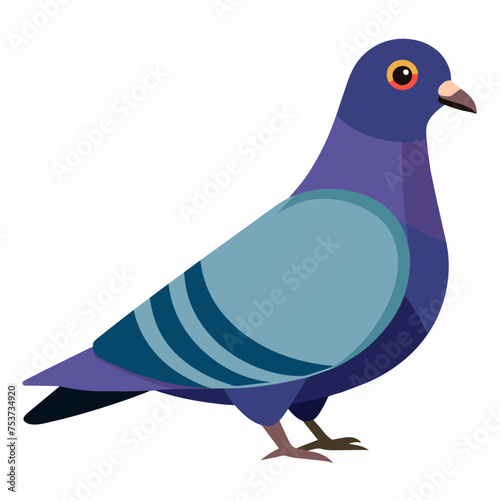 pigeon, dove, carrier pigeon, bird, poultry, avian, birdy, nestling, chick, auk, pet, vector, illustration, draw, cartoon, pretty, cute
