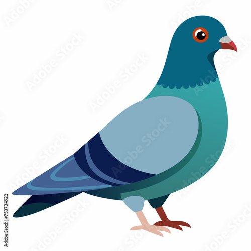 pigeon, dove, carrier pigeon, bird, poultry, avian, birdy, nestling, chick, auk, pet, vector, illustration, draw, cartoon, pretty, cute
