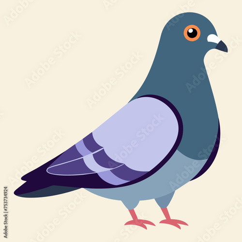 pigeon, dove, carrier pigeon, bird, poultry, avian, birdy, nestling, chick, auk, pet, vector, illustration, draw, cartoon, pretty, cute