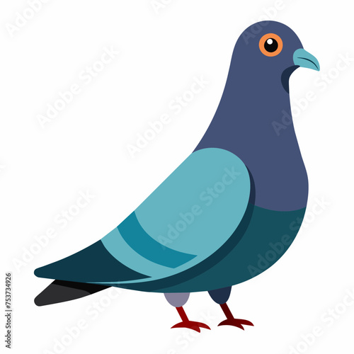 pigeon, dove, carrier pigeon, bird, poultry, avian, birdy, nestling, chick, auk, pet, vector, illustration, draw, cartoon, pretty, cute