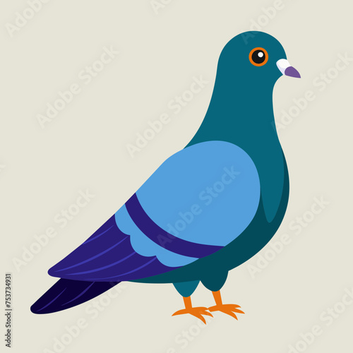 pigeon, dove, carrier pigeon, bird, poultry, avian, birdy, nestling, chick, auk, pet, vector, illustration, draw, cartoon, pretty, cute