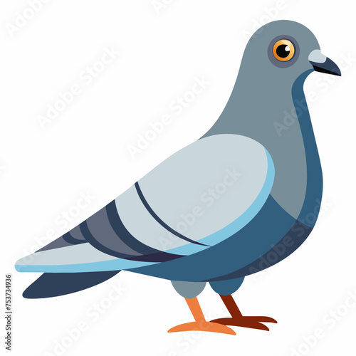 pigeon, dove, carrier pigeon, bird, poultry, avian, birdy, nestling, chick, auk, pet, vector, illustration, draw, cartoon, pretty, cute