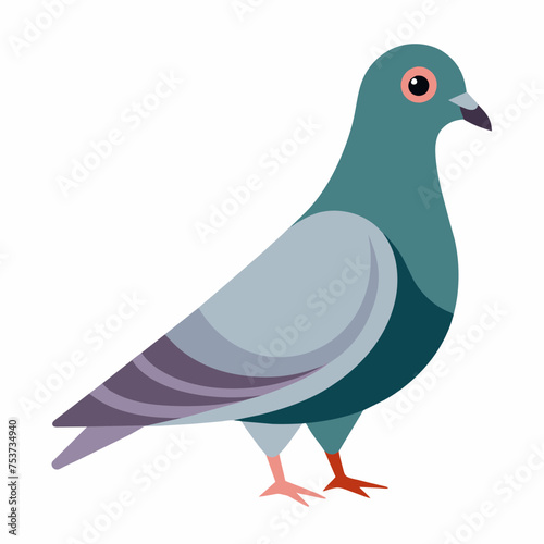 pigeon, dove, carrier pigeon, bird, poultry, avian, birdy, nestling, chick, auk, pet, vector, illustration, draw, cartoon, pretty, cute