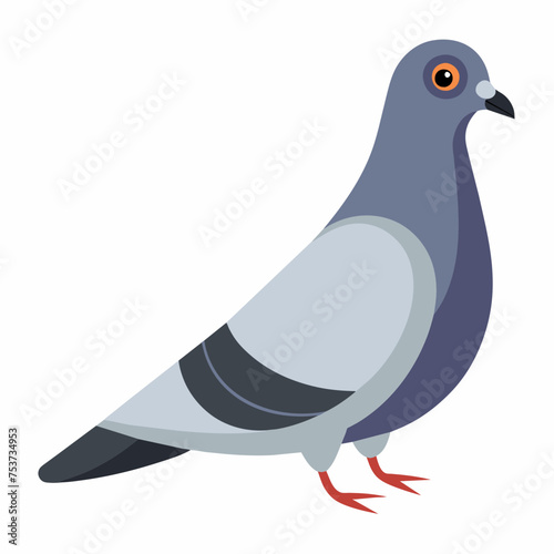 pigeon, dove, carrier pigeon, bird, poultry, avian, birdy, nestling, chick, auk, pet, vector, illustration, draw, cartoon, pretty, cute
