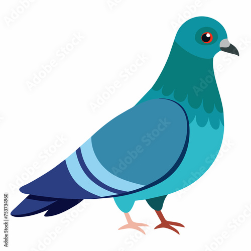 pigeon, dove, carrier pigeon, bird, poultry, avian, birdy, nestling, chick, auk, pet, vector, illustration, draw, cartoon, pretty, cute
