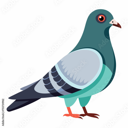 pigeon, dove, carrier pigeon, bird, poultry, avian, birdy, nestling, chick, auk, pet, vector, illustration, draw, cartoon, pretty, cute