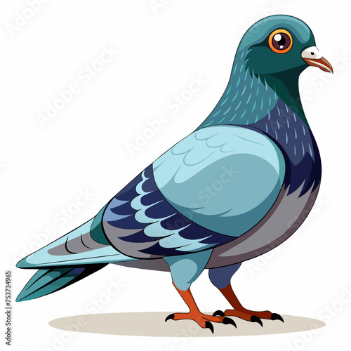 pigeon, dove, carrier pigeon, bird, poultry, avian, birdy, nestling, chick, auk, pet, vector, illustration, draw, cartoon, pretty, cute