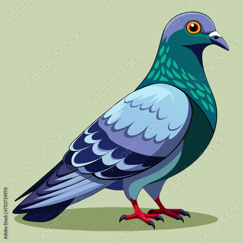 pigeon, dove, carrier pigeon, bird, poultry, avian, birdy, nestling, chick, auk, pet, vector, illustration, draw, cartoon, pretty, cute