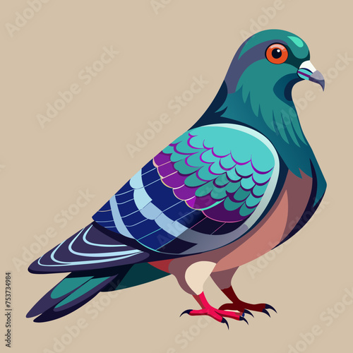 pigeon, dove, carrier pigeon, bird, poultry, avian, birdy, nestling, chick, auk, pet, vector, illustration, draw, cartoon, pretty, cute