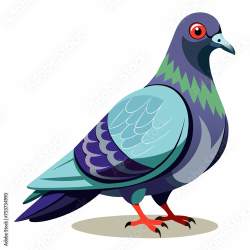 pigeon, dove, carrier pigeon, bird, poultry, avian, birdy, nestling, chick, auk, pet, vector, illustration, draw, cartoon, pretty, cute