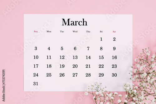 Desk calendar for March 2024 and flowers, gypsophila branch on a pink table. Flat lay, top view