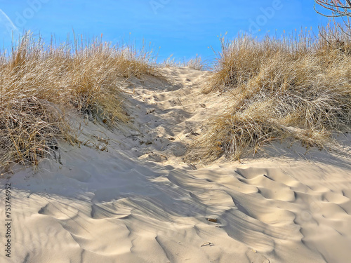 Michigan dune with beach grass and bright blue sky © driftwood