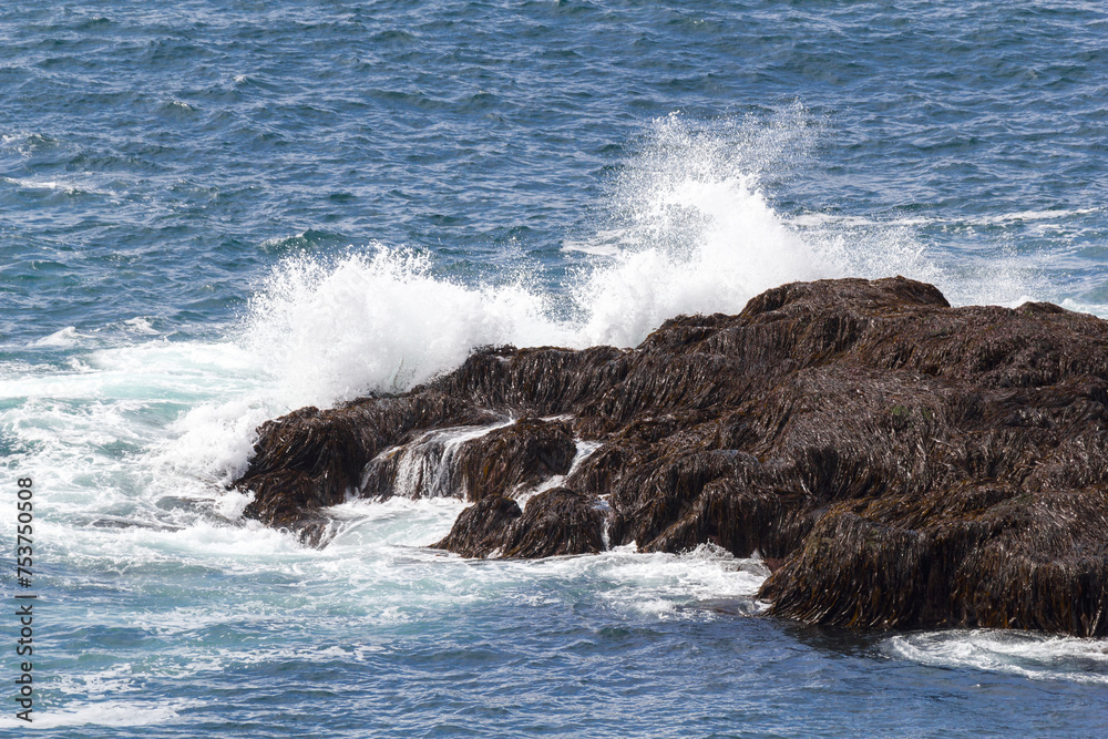 waves brakes at rocks at the coast of puffin island