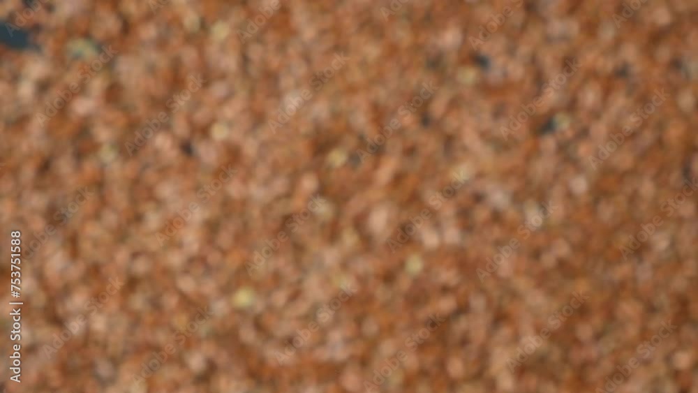 Flax seeds flying in the air on black background macro slow motion. Flax seeds flying in the air on black background macro slow motion.