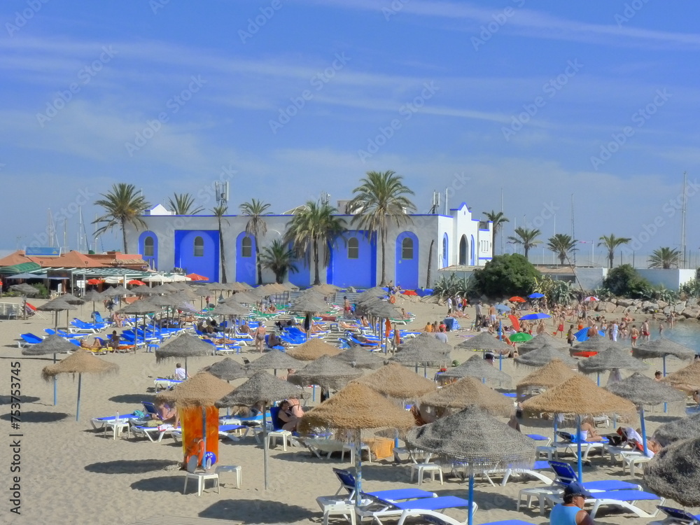 Obraz premium Mer plage et palmiers