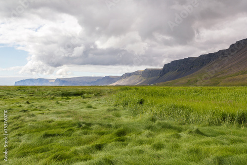 panoramic look over the green beach of Rauðisandur in summer photo