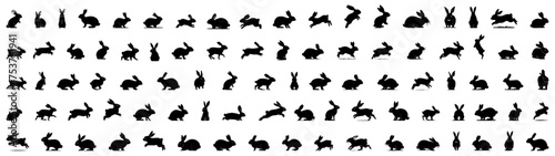 Rabbit silhouettes Black vector set featuring different poses, Easter bunny from various angles and postures including side, back, close up, sitting, standing, running. Generative AI © nadimgdx