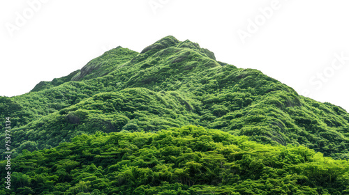 Vegetated Green Moutain Isolated On Transparent Background. Peaks With Vegetation, Forest And Jungle. Realistic Mountain Environment