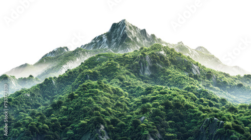 Vegetated Green Moutain Isolated On Transparent Background. Peaks With Vegetation, Forest And Jungle. Realistic Mountain Environment photo