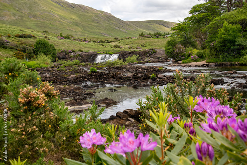 Ashlea Falls, Galway, Mayo area 2023, Ireland. Scenic waterfall and flowers.