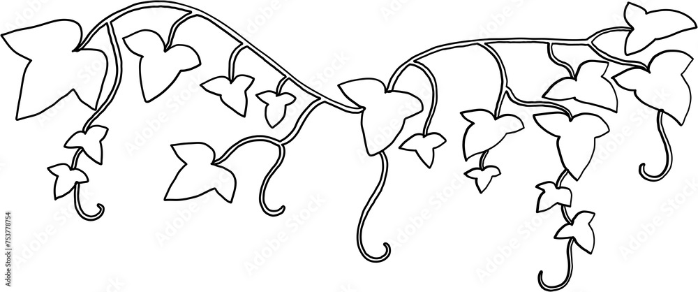 ivy plant drawing illustraivy plant drawing illustration.tion. ivy plant drawing illustraivy plant drawing illustration.tion.