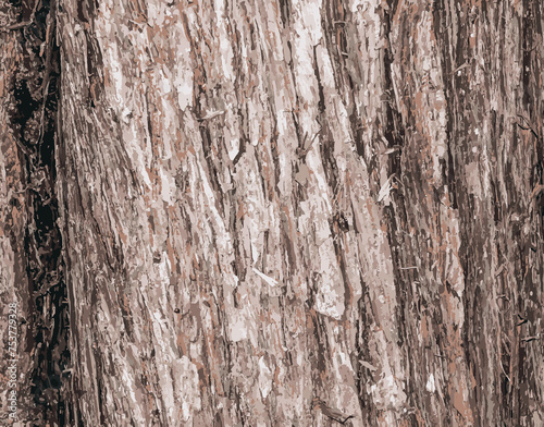 Illustration Background of Cypress tree bark Cupressocyparis leylandii in Latin.