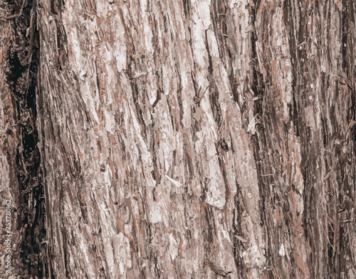 Vector illustration Background of Cypress tree bark Cupressocyparis leylandii in Latin.