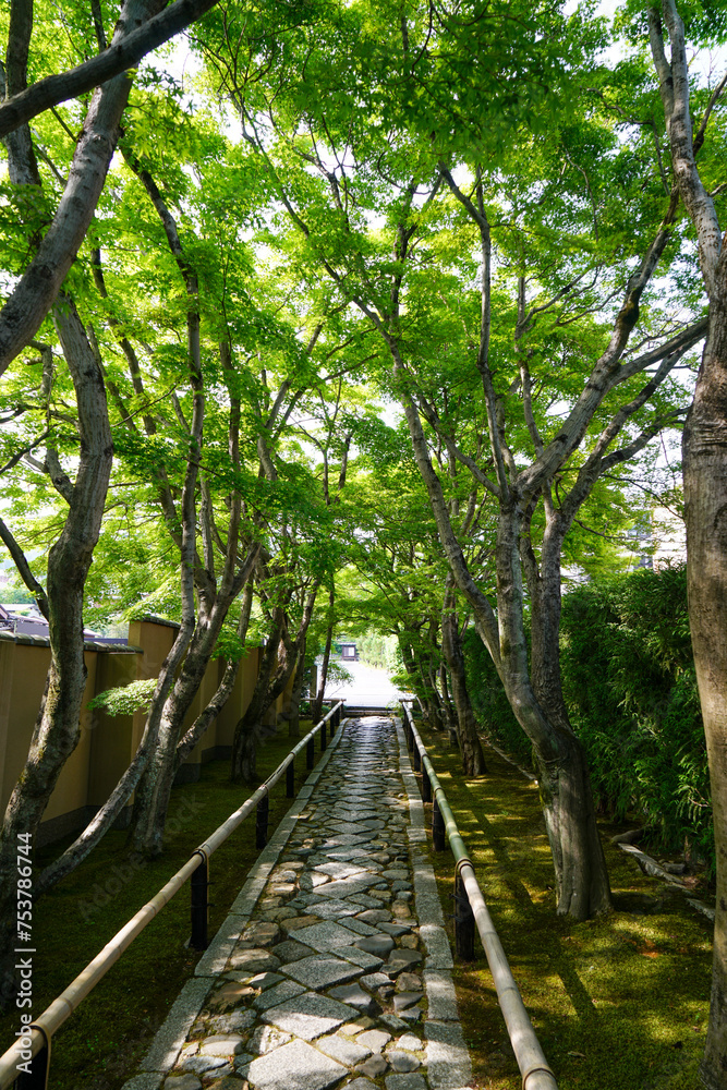京都鷹峯光悦寺の参道の風景 京都鷹峯光悦寺の参道の風景