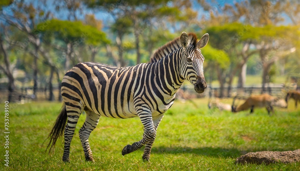 Wild Elegance: Zebra Amidst Greenery Wild Elegance: Zebra Amidst Greenery